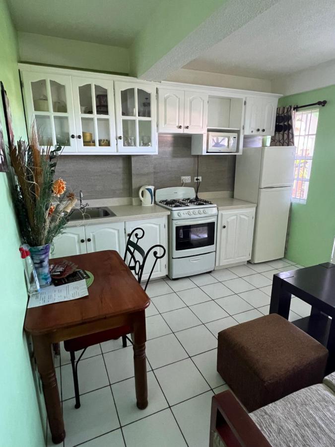 Silver View Apartments St. George's Екстер'єр фото